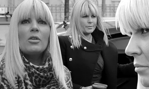 cub elena udrea 2 png