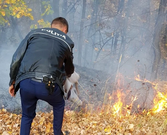 Poliţiştii au ajutat la stingerea focului