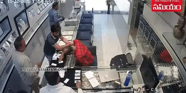 vanzator salvat gif