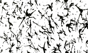 Şanţul adînc al şopîrlei albastre jpeg