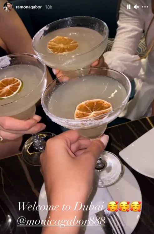 2 surorile gabor revedere in dubai 1 png png