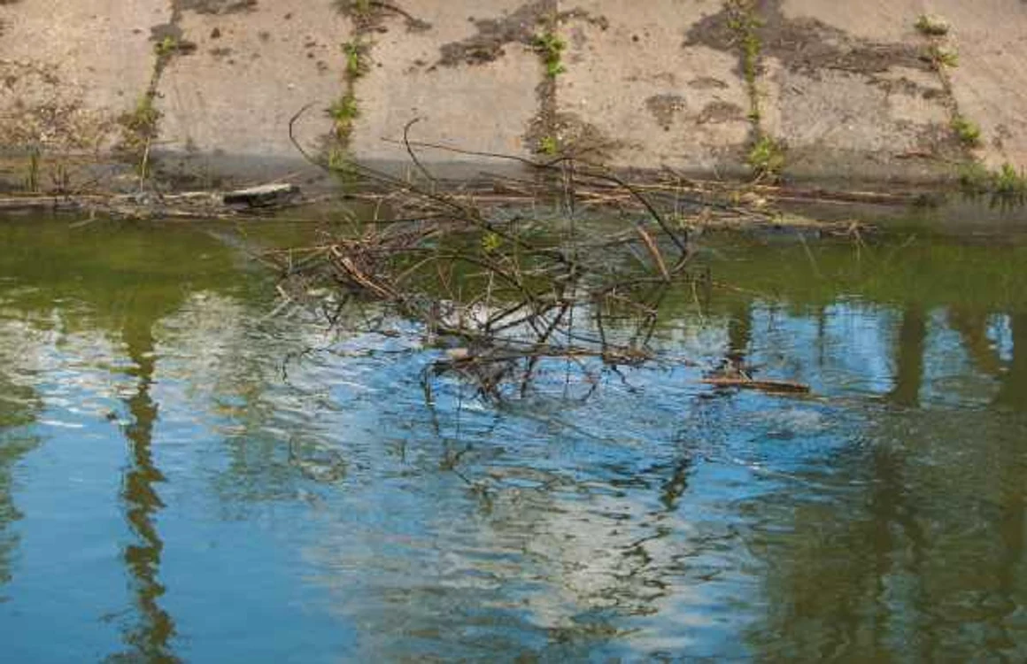 Râul Bîc, în atenţia ecologiştilor FOTO Alexandru Tarlev