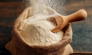 faina adobestock jpg