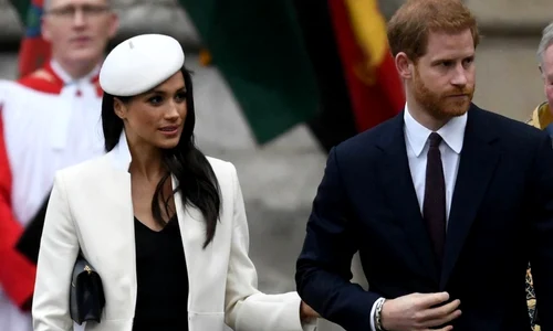 sussex ei dimensiuneok jpg