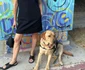 Selma Blair și aliatul ei în lupta cu scleroza multiplă  Sursa   Instagram jpg