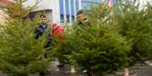 Doi dintre negustorii care fac preţurile în Piaţa Centrală din Galaţi