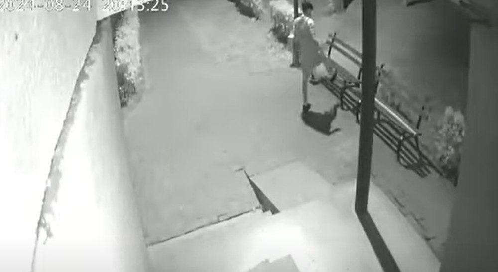 Momentul în care câțiva tineri din Bacău au furat banca din fața blocului, în mai puțin de un minut VIDEO