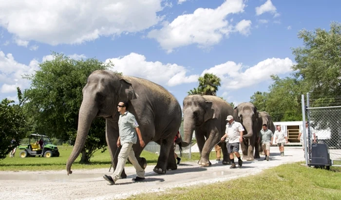 
    Caz revolatător în IndoneziaFoto: AP  