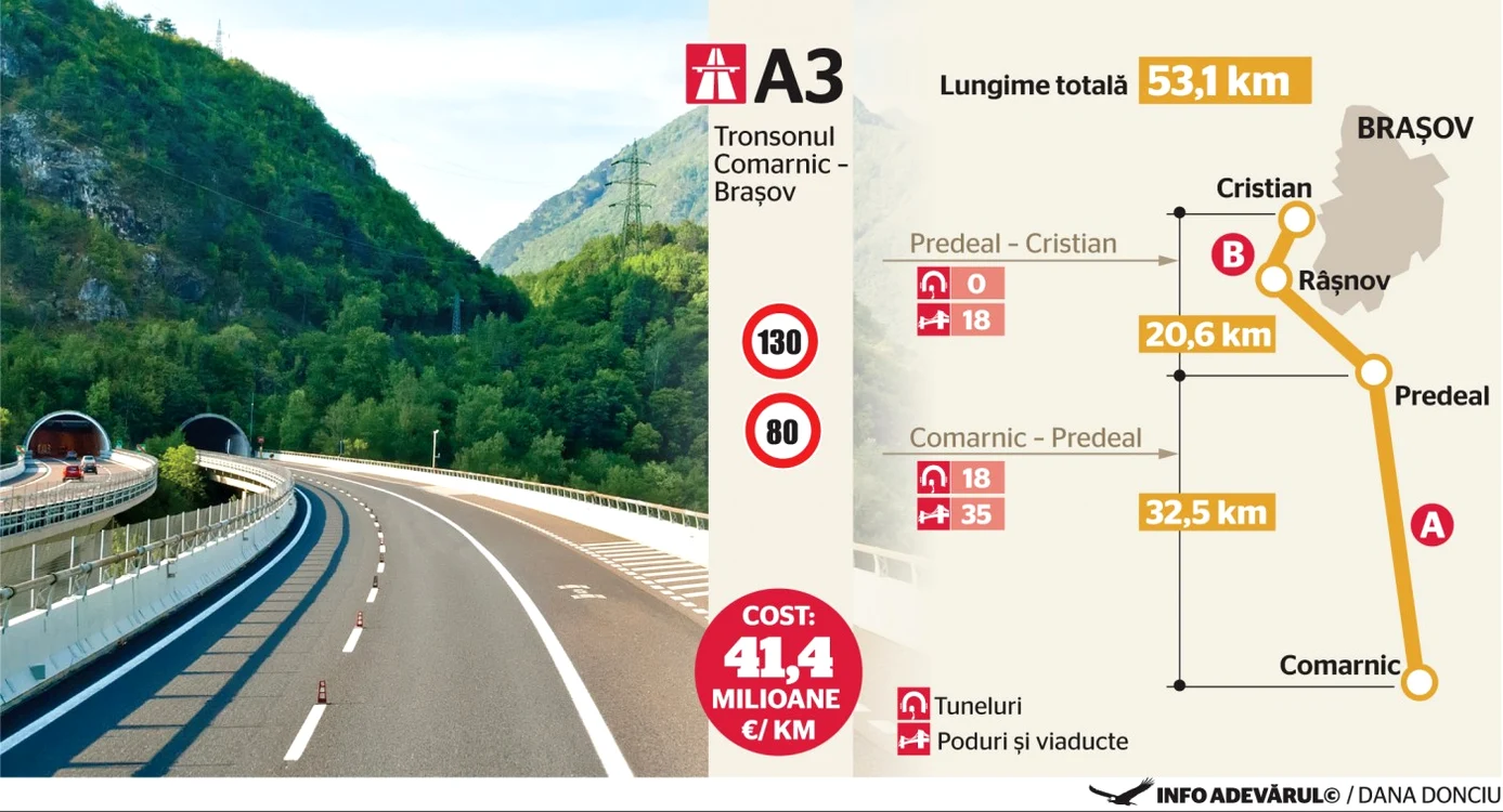 Infografie de Dana Donciu