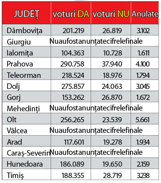 Zeci de români au mers la vot