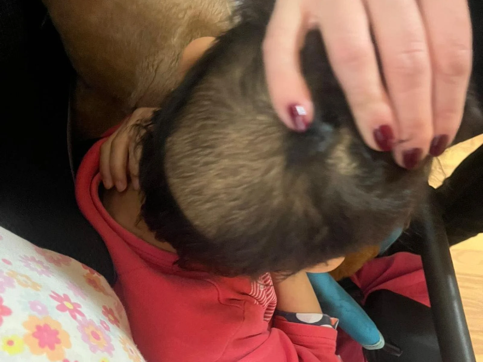 „Așa arată justiția pentru un copil”: românca lăudată de Melania Trump denunță cazul unui minor dintr-un centru de plasament