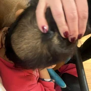 copil rămas fără păr de la poziția aproape permanentă pe spate într un pătuț foto georgiana pascu png