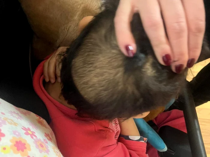 FOTO: Facebook/Georgiana Pascu