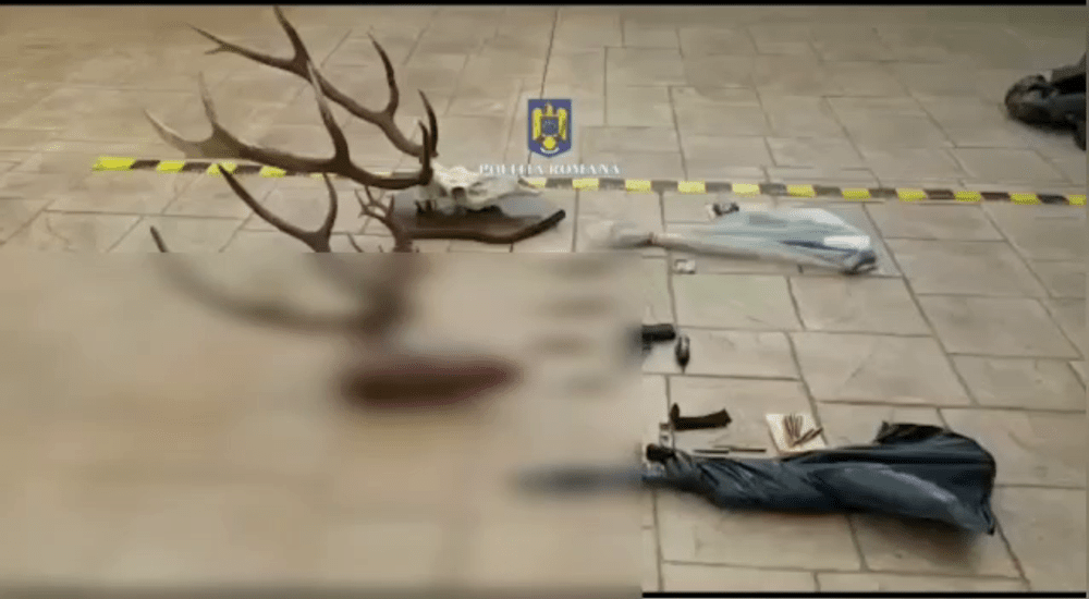Șapte persoane reținute la Gorj pentru braconaj și nerespectarea regimului armelor şi al muniţiilor VIDEO