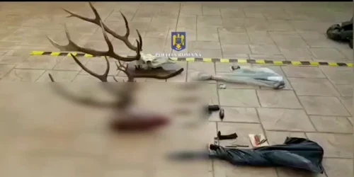 braconaj ipj gorj mp4 thumbnail png