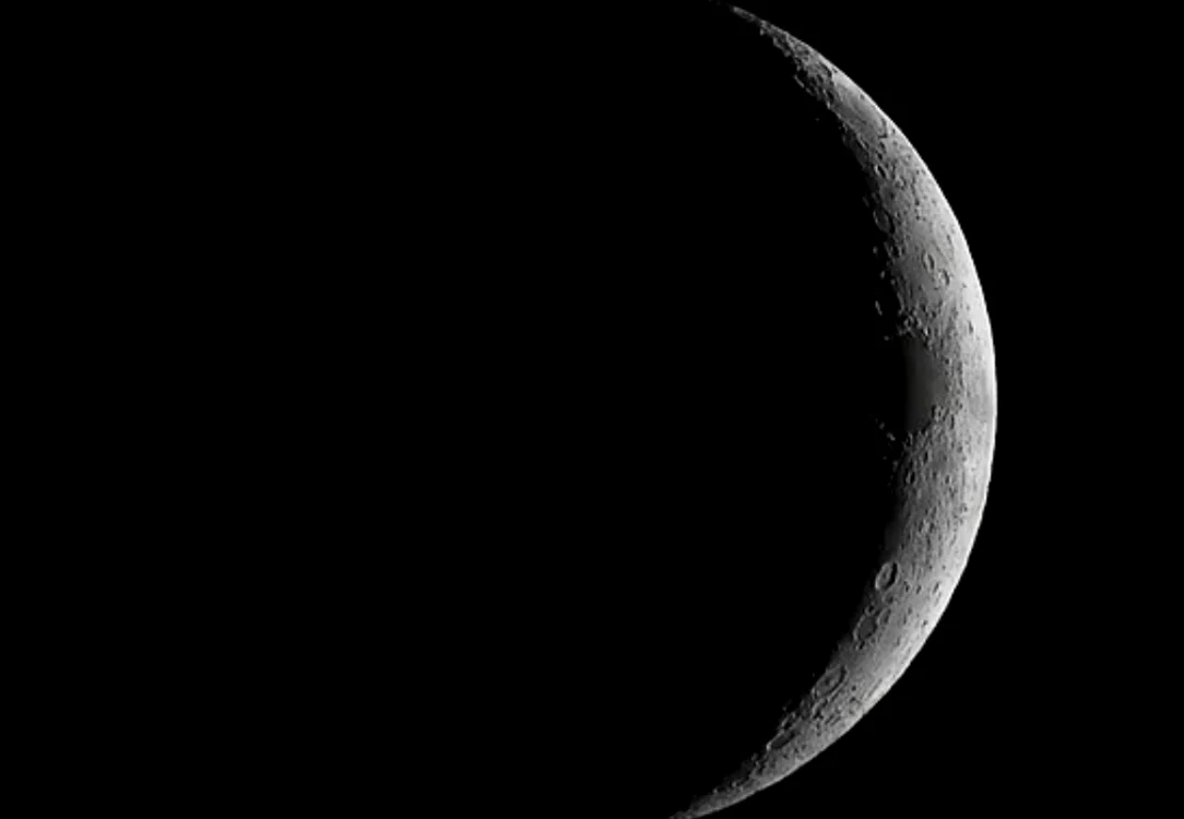 Luna neagră FOTO: Shuterstock