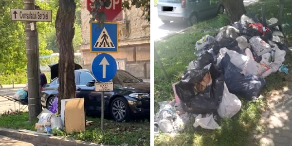 Gunoaie strada Timisoara FOTO Politia Locala