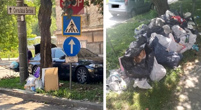 Poliţia Locală i-a amendat pe cei doi contravenienţi cu câte 6.000 de lei FOTO Poliţia Locală Timişoara