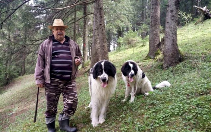 Florentin Petruşcă, crescător de Ciobănesc românesc de Bucovina FOTO: Oana Şlemco