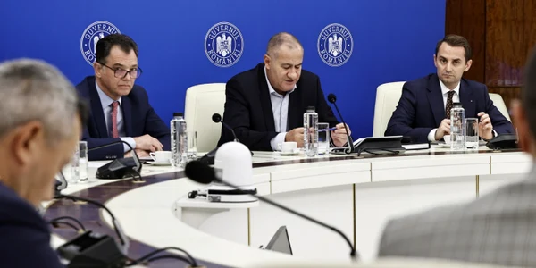 comitetul interministerial jpg