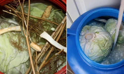 1 cum se pune varza la murat trucuri utile pentru gospodinele incepatoare si nu numai 2 jpg jpeg