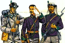 Armata Română în ajunul Războiului de Independență jpeg