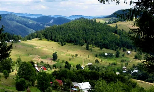 apuseni jpg