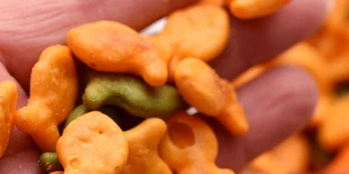 Shutterstock 1328179145 jpg