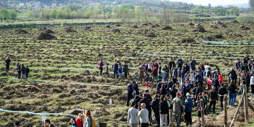 plantare puieti curtea de arges 02 foto Arhiepiscopia Argesului si Muscelului jpg