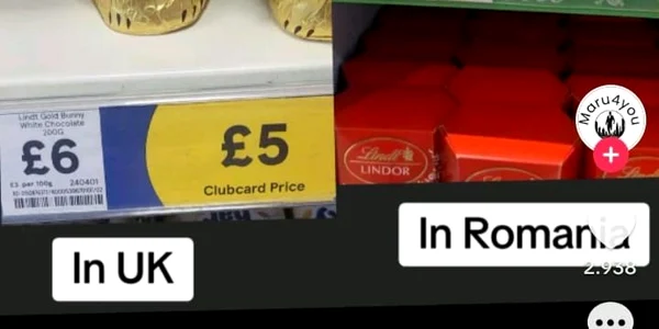 iepurasi uk romania jpg