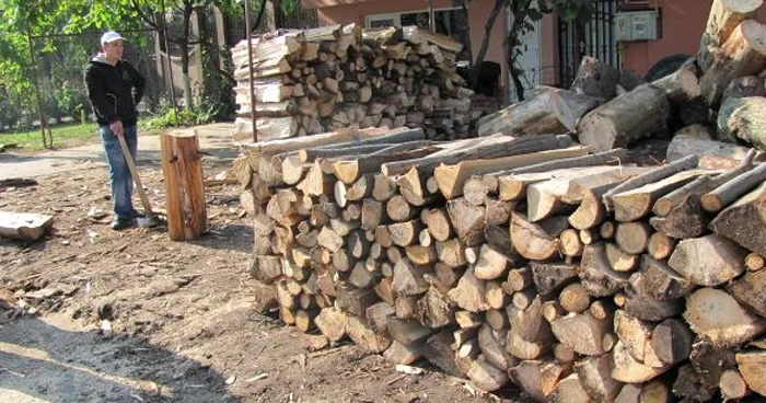 Lemnele fără acte de provenienţă au fost confiscate