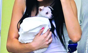 CLIIMA20100525 0219 1 jpeg