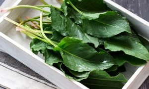 stevie romaneasca jpg