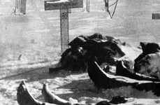 Stalingrad: Românii dădeau cu ciocanul în tancurile ruseşti ca să le oprească! jpeg