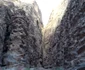 iordania