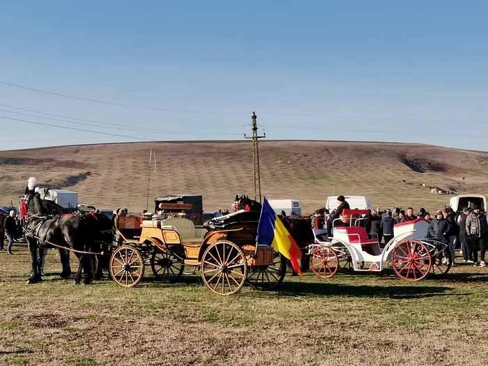 Proprietarii și-au înhămat caii la trăsuri și încep să dea ture FOTO: Alina Mitran