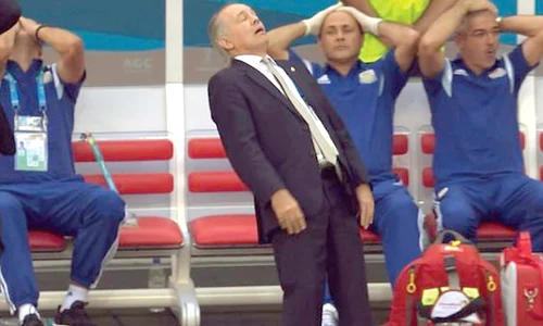 sabella jpeg