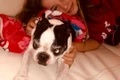 Irina Columbeanu se bucură de timpul petrecut în America alături de mama ei şi de iubitul acesteia, Mr  Pink  jpeg