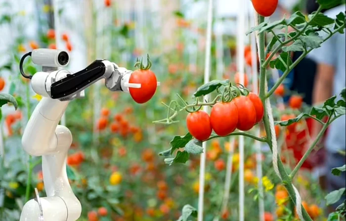 Vacanțele virtuale, soluția ideală de concediu peste 15 ani