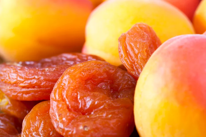 shutterstock 1894884133 jpg