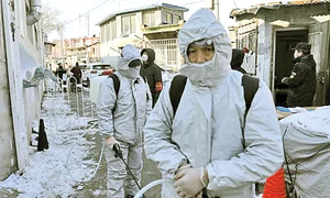 24 baza ciuma 0 jpeg