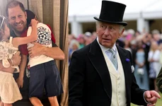 Prințul Harry, Regele Charles  sursa foto   Profimedia jpg