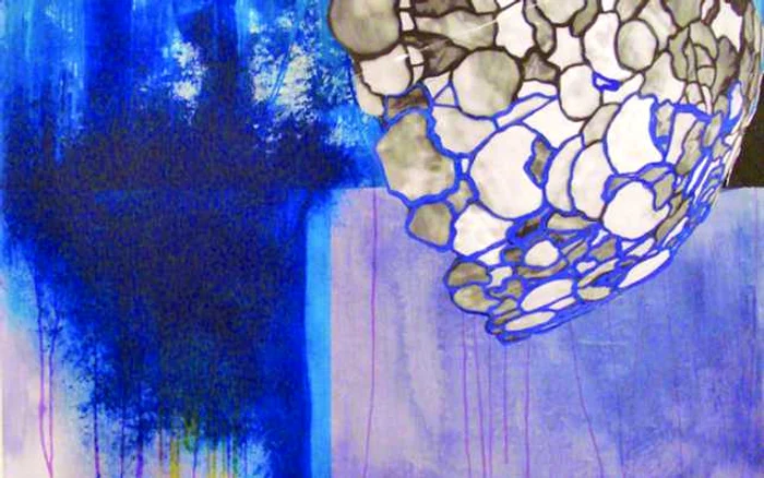sonia coman „Umbra“ lucrare din 2010