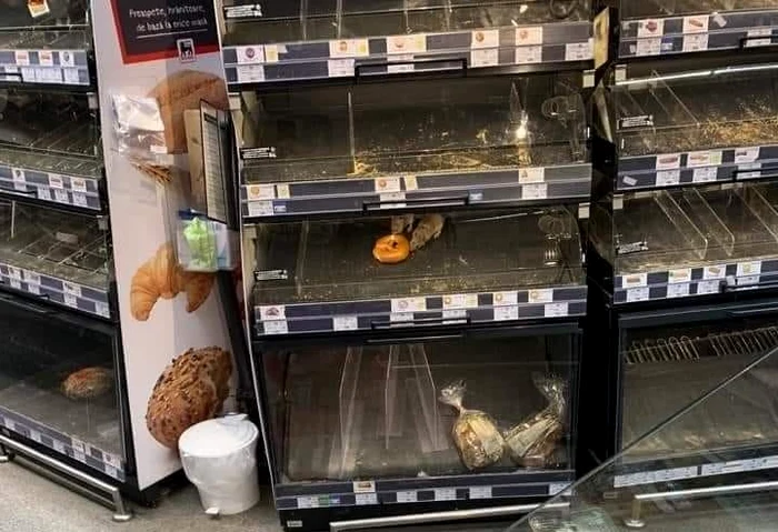 
    Doi șobolani, filmați pe raftul de patiserieSursa foto: Adrian Lungu/Facebook  