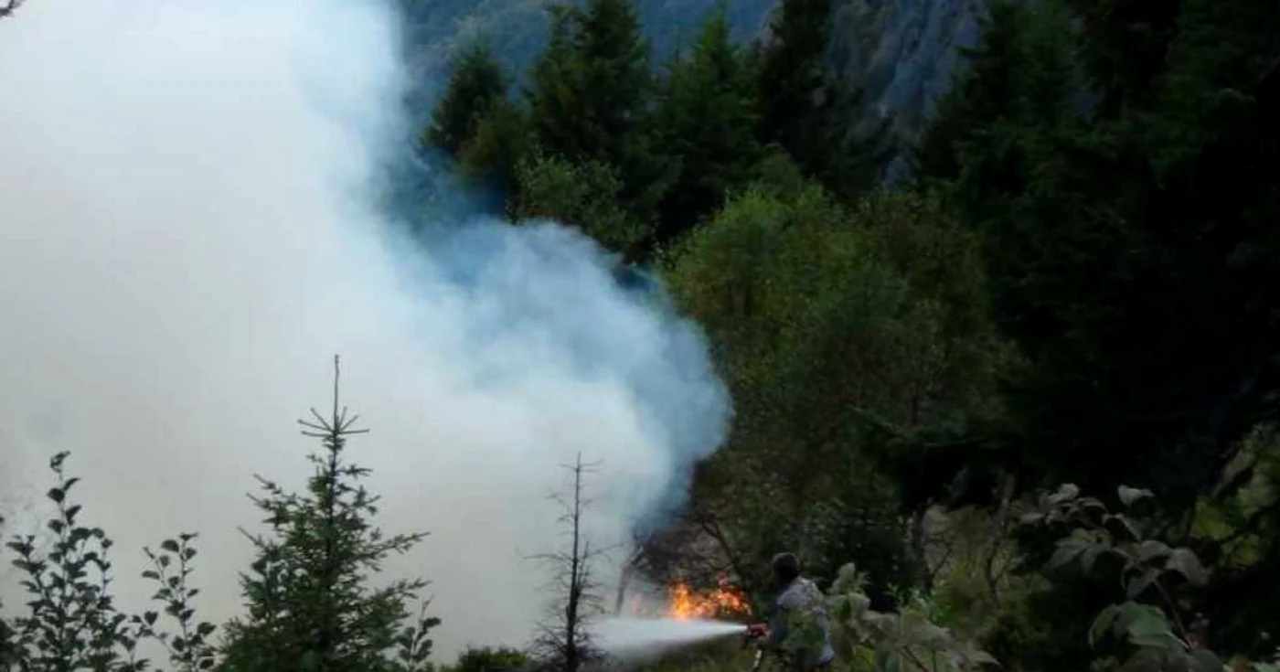 Incendiu de proportii pe Muntele Cozia