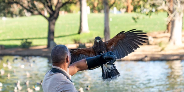 101 ExtraordinaryBirderWithChristianCooperPalmSprings 028 jpg