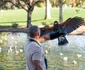 Christian Cooper prezintă seria „Extraordinary Birder“ („Observatorul de păsări“)