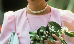 diana87 jpeg