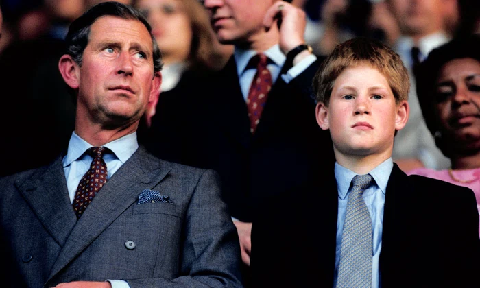 Regele Charles, Prințul Harry sursa Getty jpg