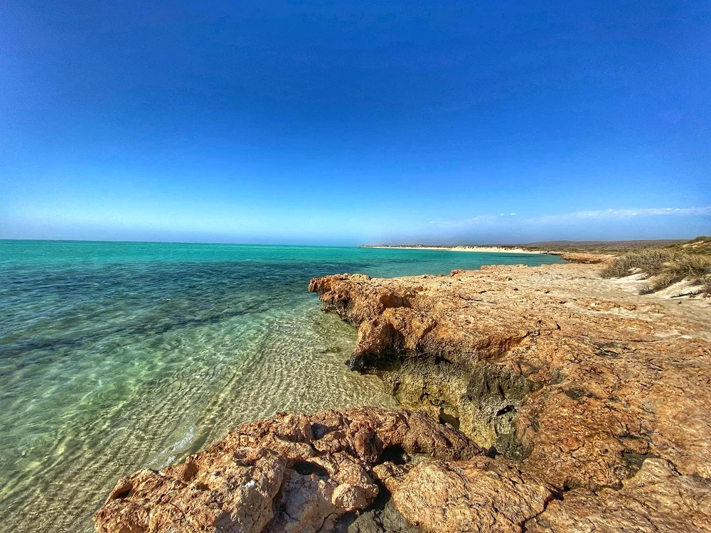Recif pe Coasta de Vest a Australiei FOTO Facebook